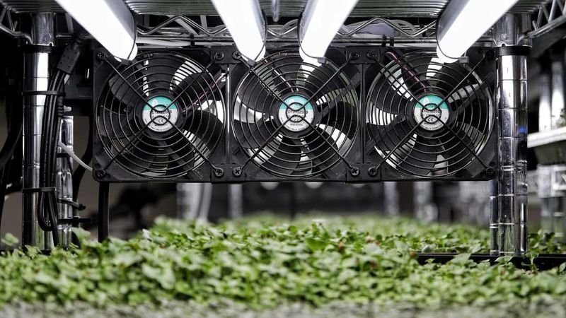 The Secret To Avoiding Common Winter Growing Problems