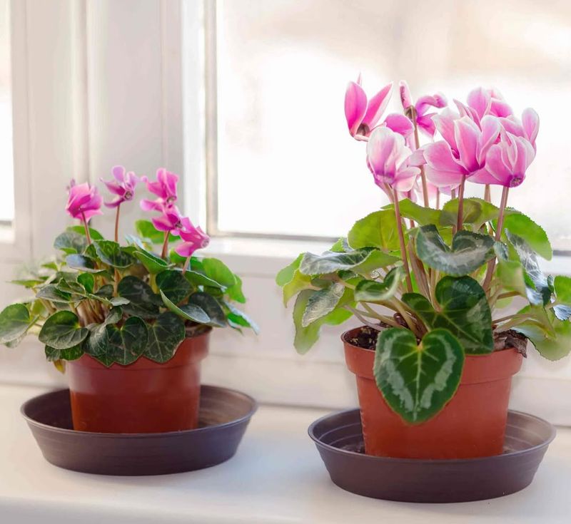 Keep Temperatures Cool And Consistent