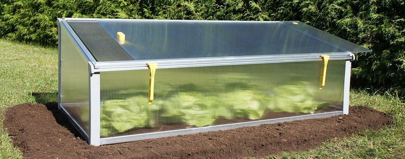 Use Cold Frames To Protect Your Greens From Harsh Weather