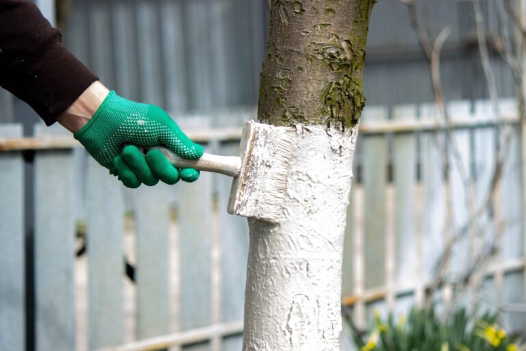 painting a fruit tree