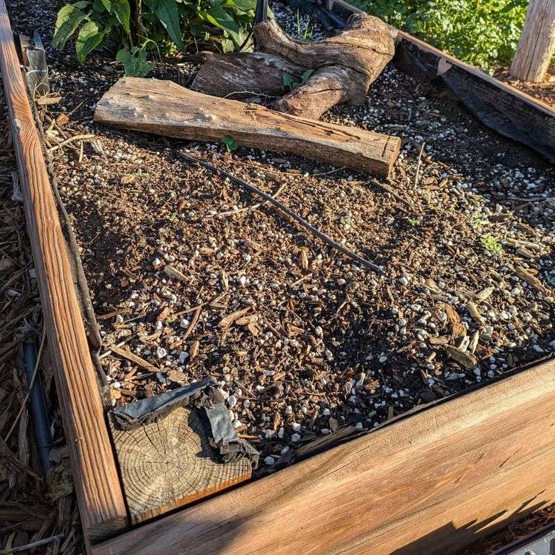 Remove All Spent Plants And Debris