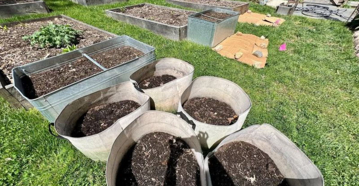 How To Prepare Raised Garden Beds For Winter In Oregon