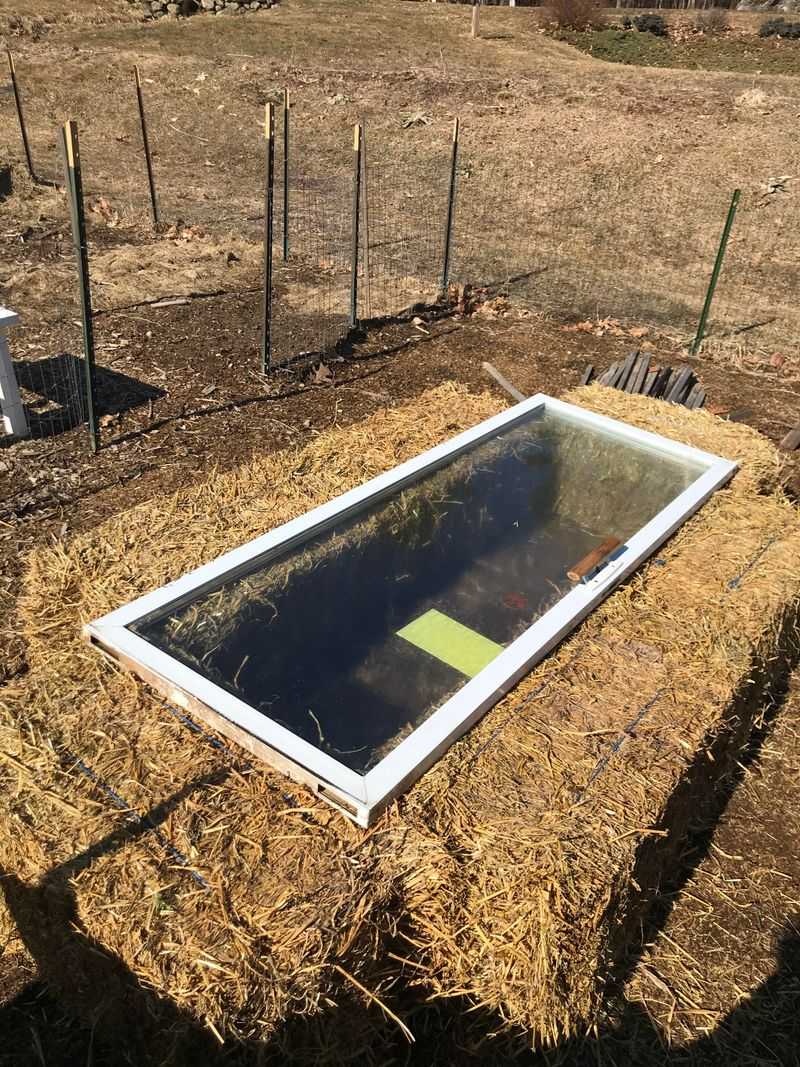 Cold Frames Shield Plants From Harsh Weather