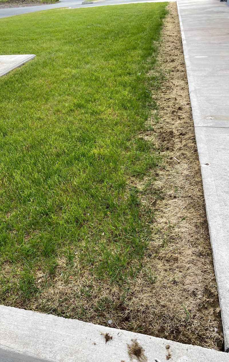 Flush The Soil With Fresh Water