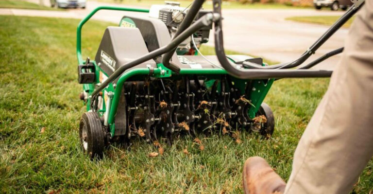 lawn aeration