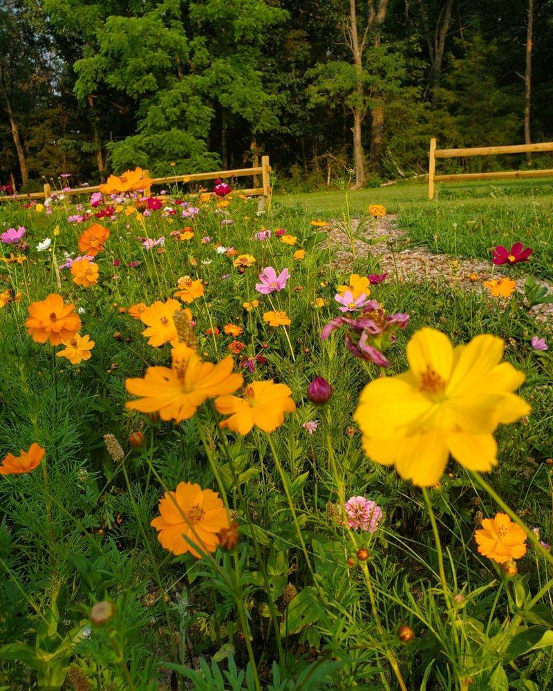 Pick The Perfect Sunny Spot