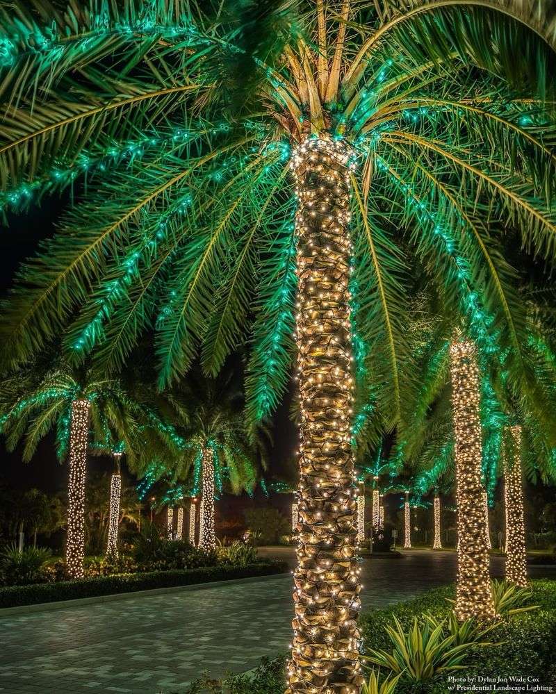 The Easy Decorating Method That Keeps Driveways Bright All Season