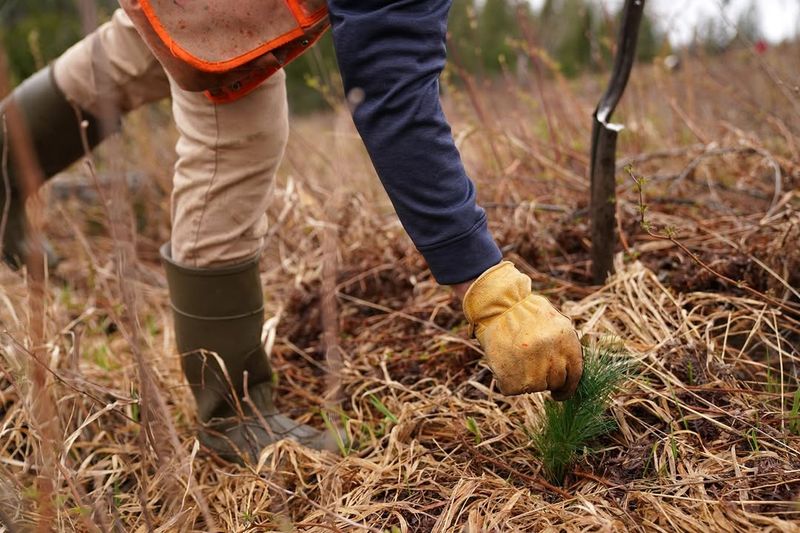 Freeze-Thaw Cycles Are Happening More Often