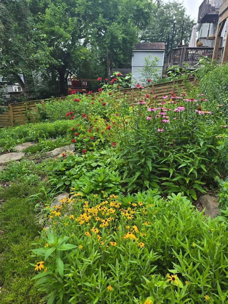 Native Plants Replace Traditional Lawns