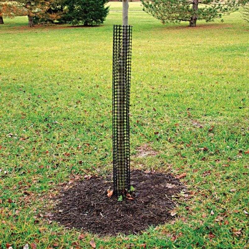 Guarding Against Gnawing