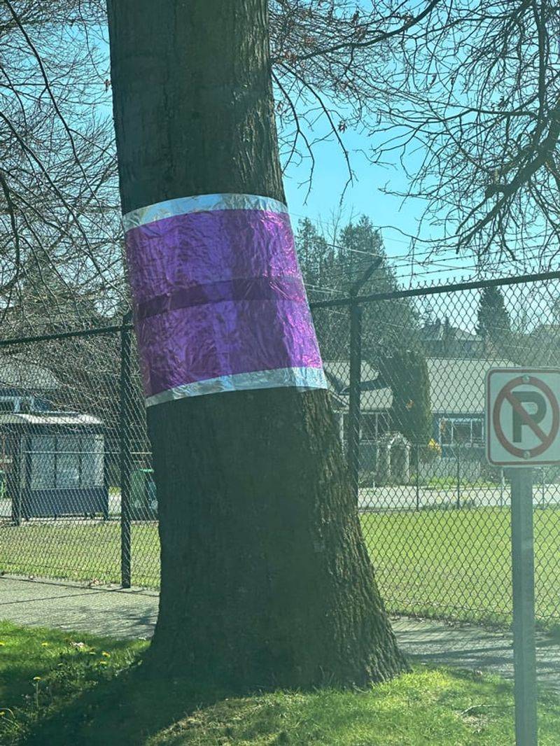 Crossing The Line Can Lead To Fines Or Charges