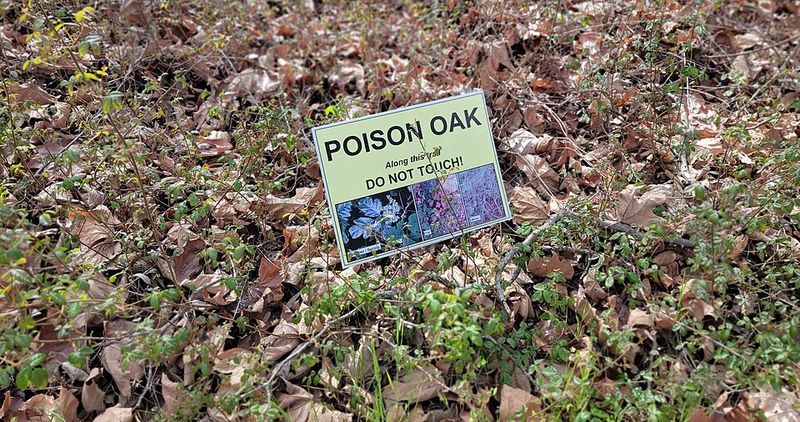 Contaminated Tools Spread The Problem