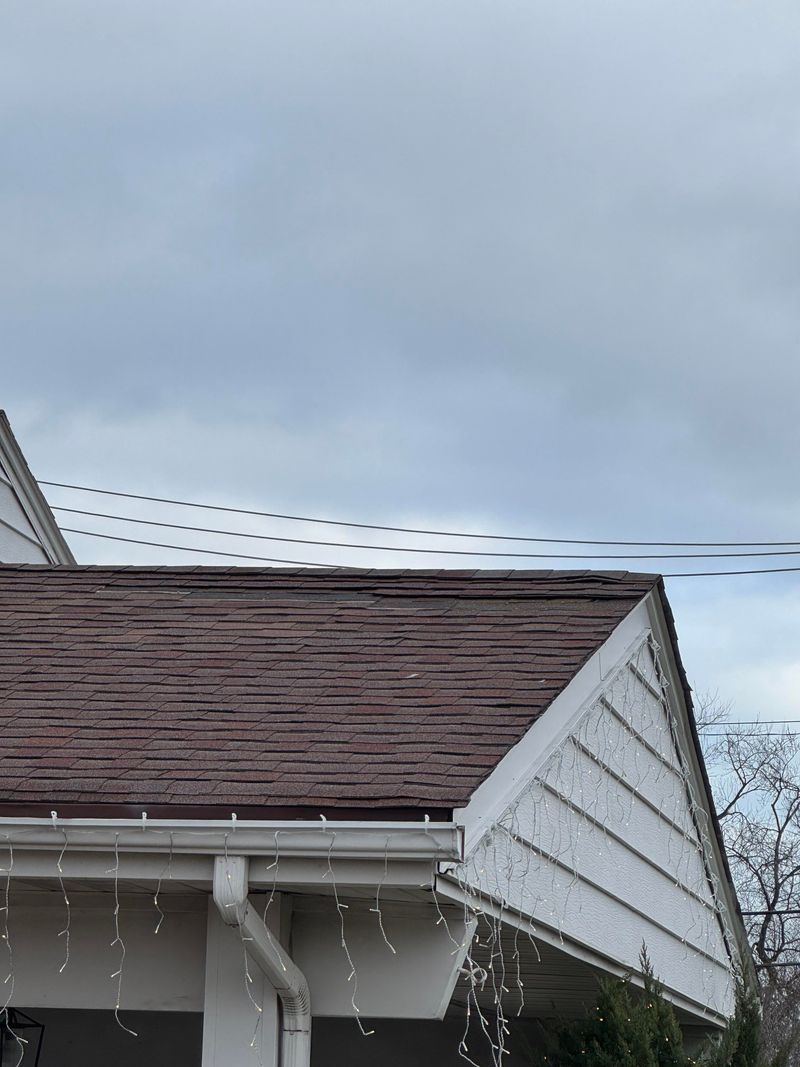 Skipping Roof Inspections and Repairs