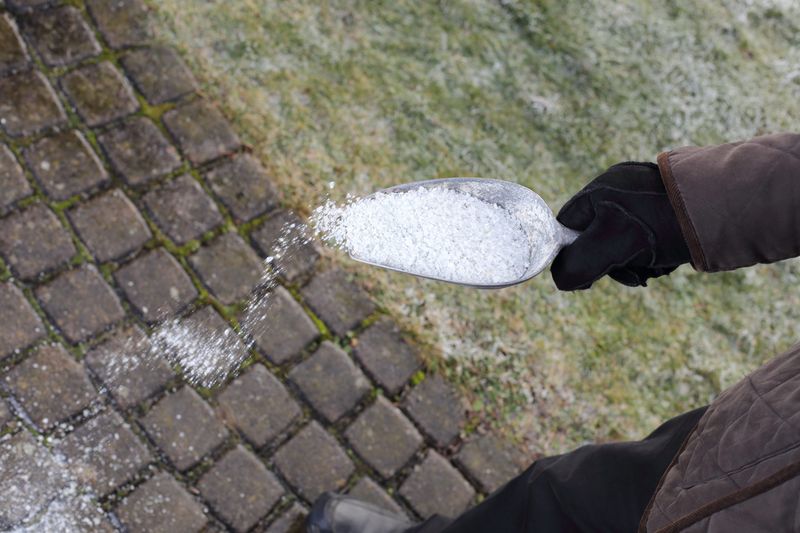 Using Salt Excessively On Driveways And Walkways