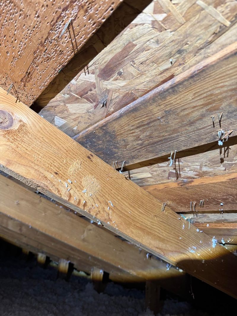 Overlooking Proper Attic Ventilation Maintenance