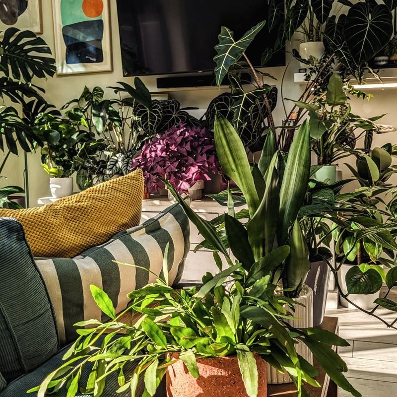 Monitor Humidity Levels In Your Apartment