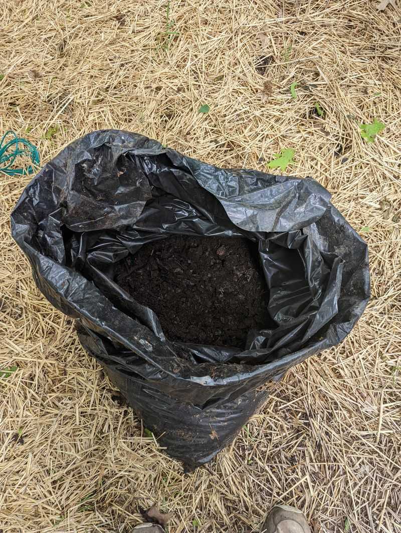 Store Extra Leaf Mold For Future Use