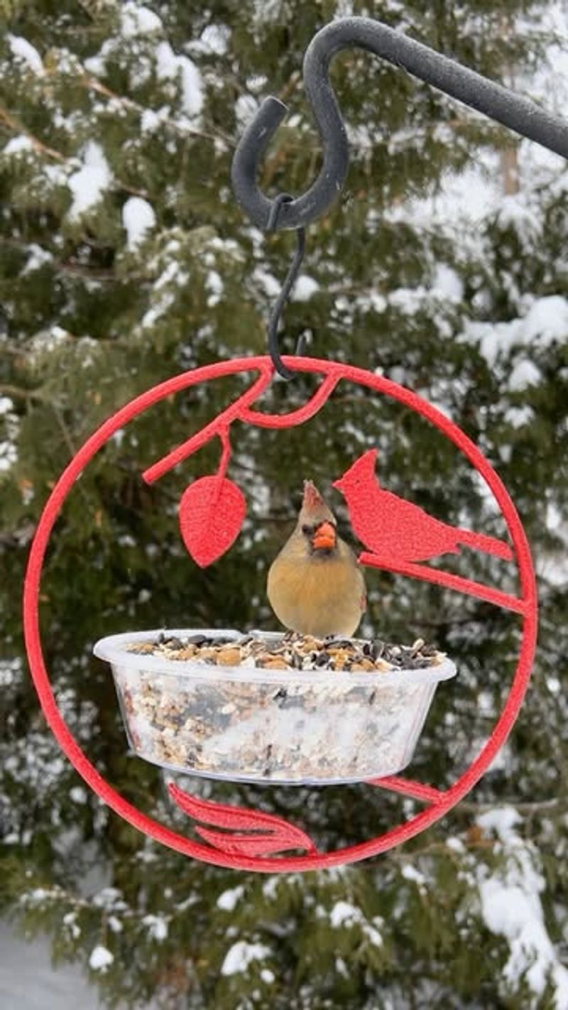 Water Sources Become Critical During Winter Months