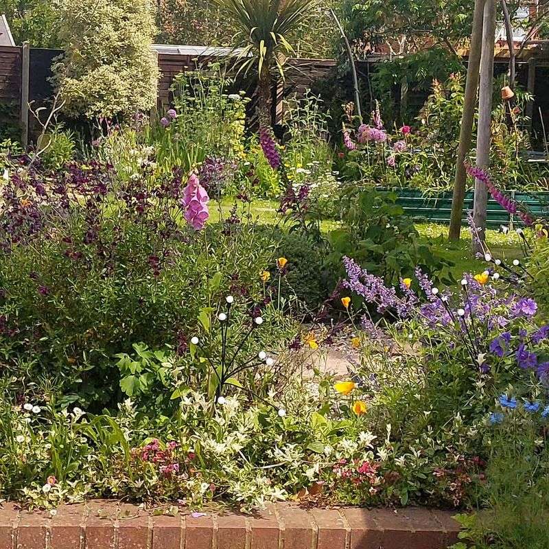 Acidifying Soil For Specific Plants