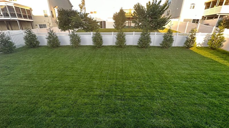 Deters Harmful Insects Naturally