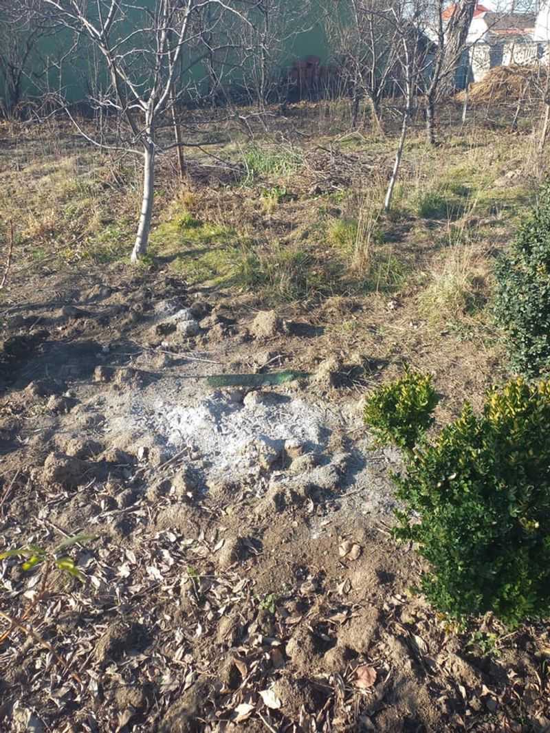 Provides Trace Minerals