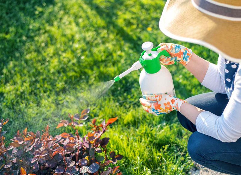 Eliminates Unpleasant Odors From Pet Areas