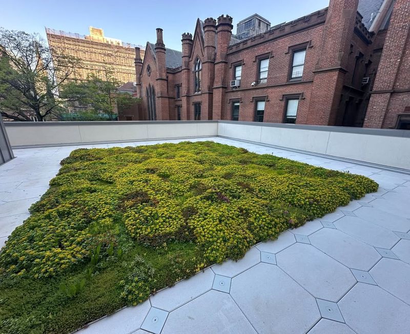 Extending Roof Lifespan Significantly