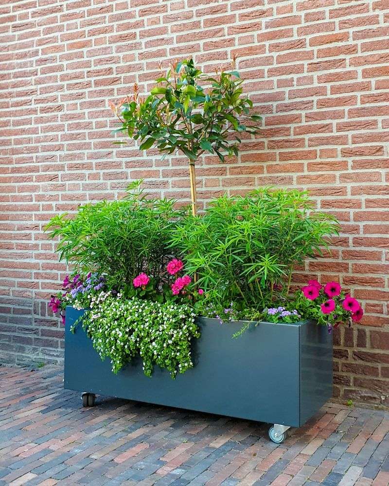 Avoiding Stains On Patios And Decks