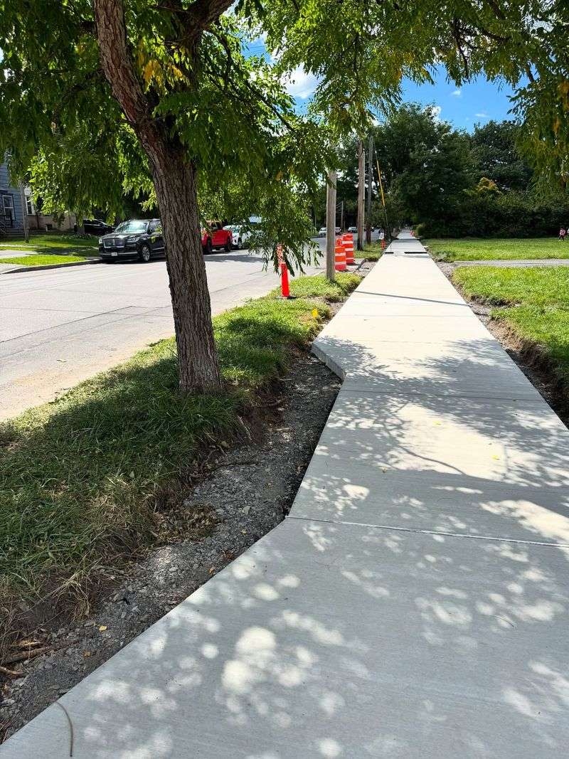 Too Close To Driveways, Sidewalks, Or Patios