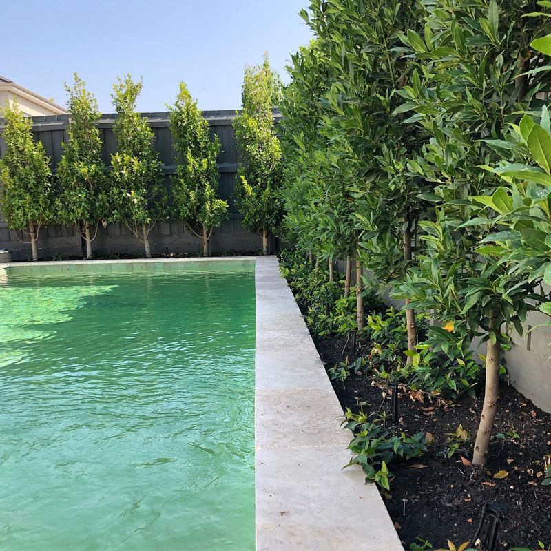 Too Close to Swimming Pools