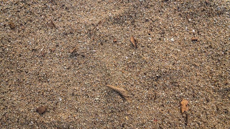 In Excessively Sandy Soil Without Amendment