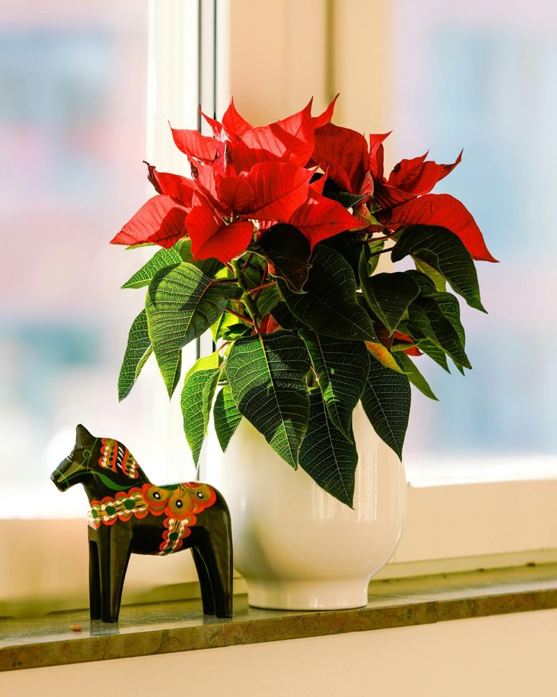 Temperature Fluctuations Between Day And Night