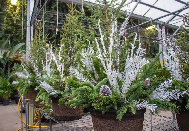 Use Container Gardens for Flexibility