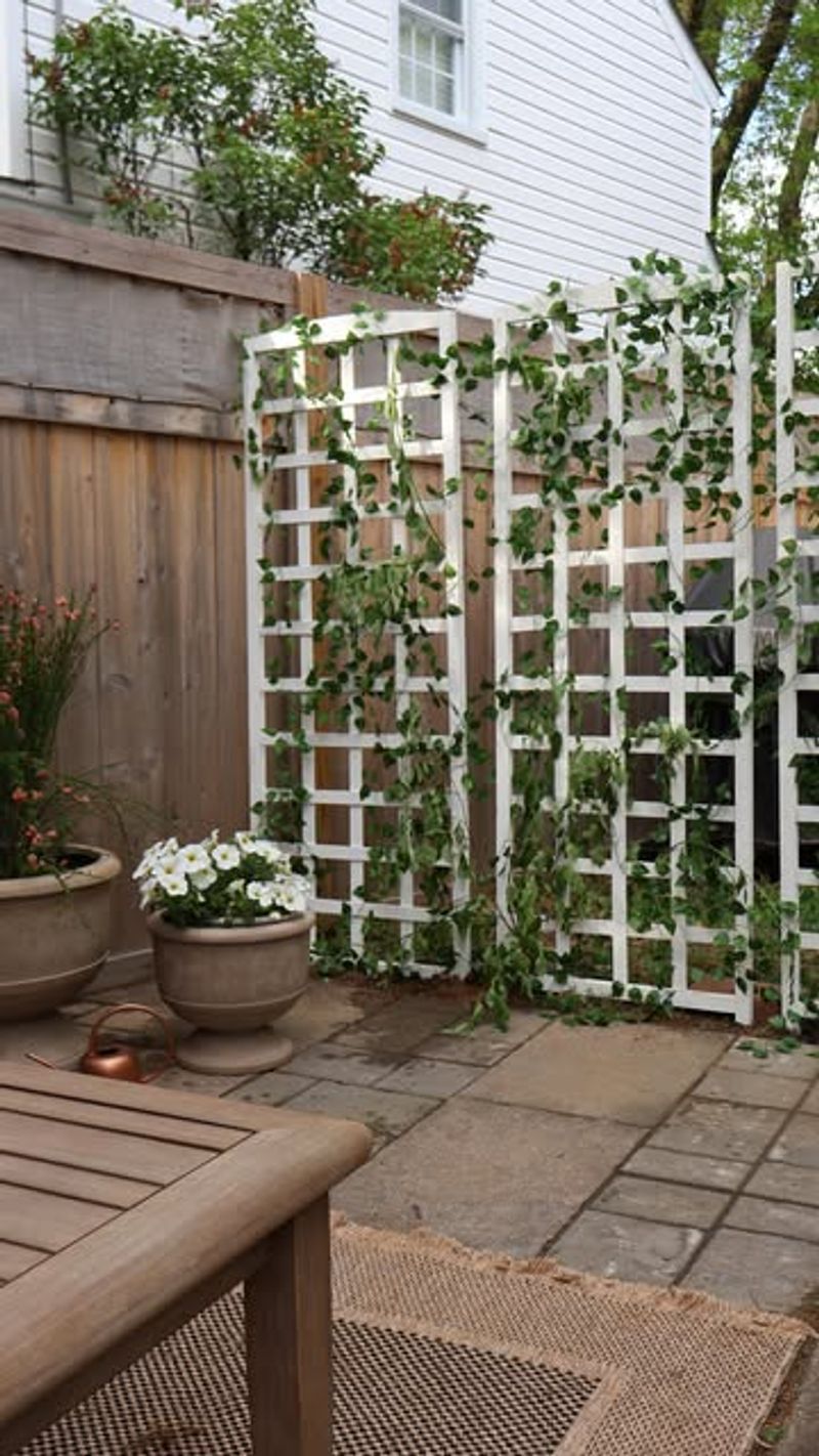 Add Decorative Trellises and Lattice Panels