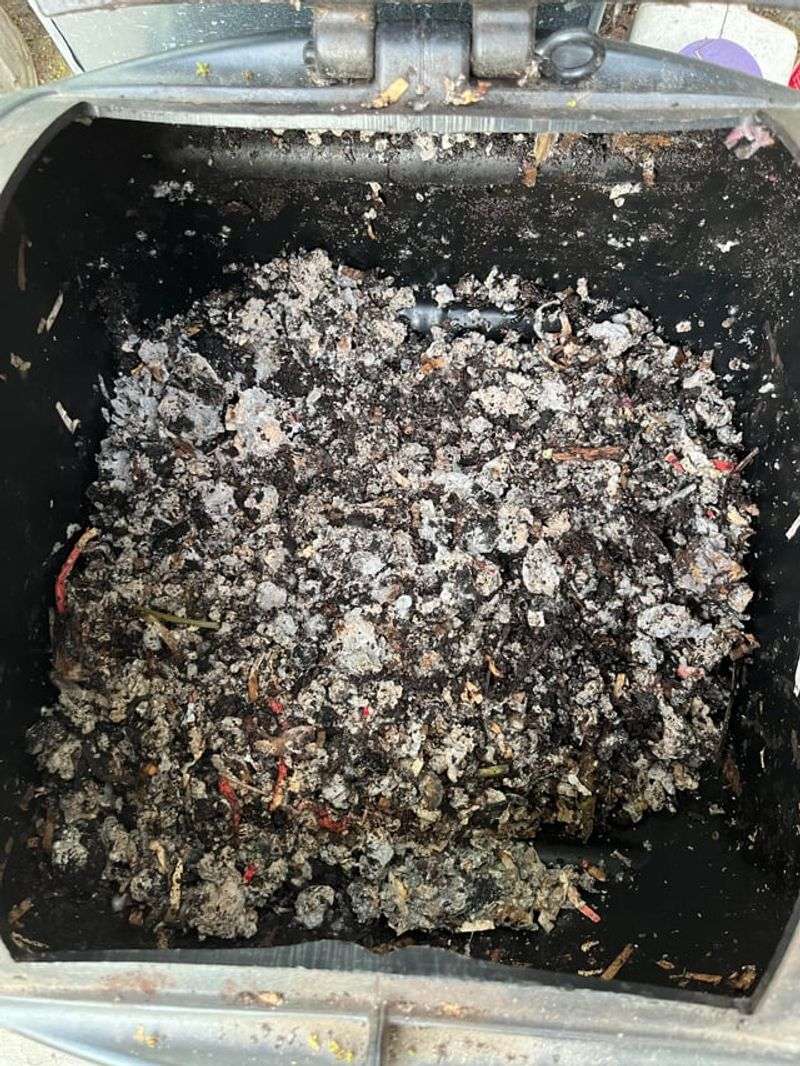 Using Mycorrhizal Inoculants At Planting Time