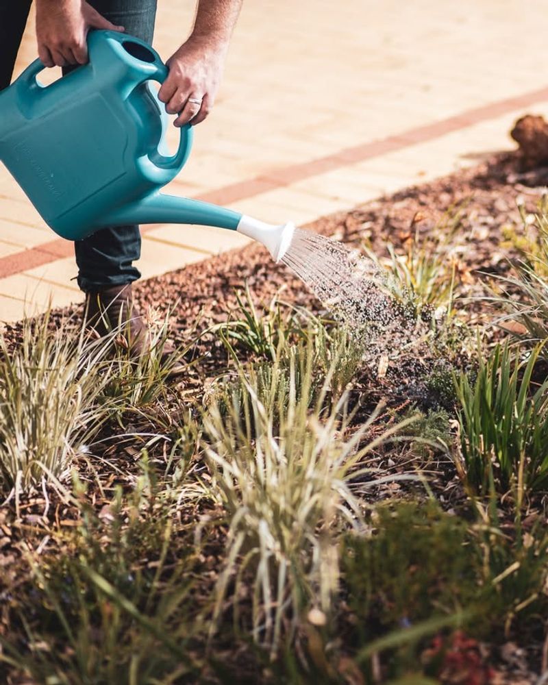 Maintaining Consistent Watering Routines