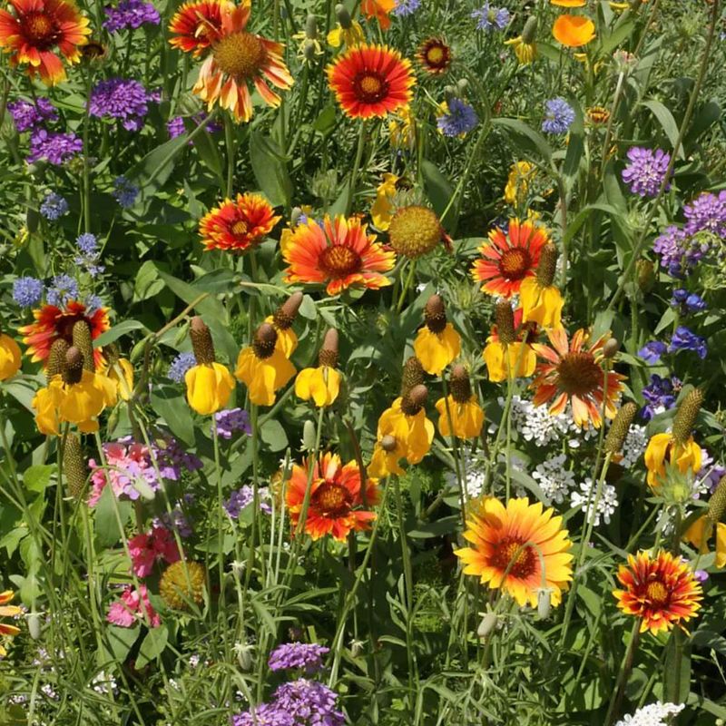 Budget-Friendly Ways to Start This Trend