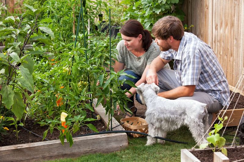 Strengthen Family Bonds Through Shared Plant Care