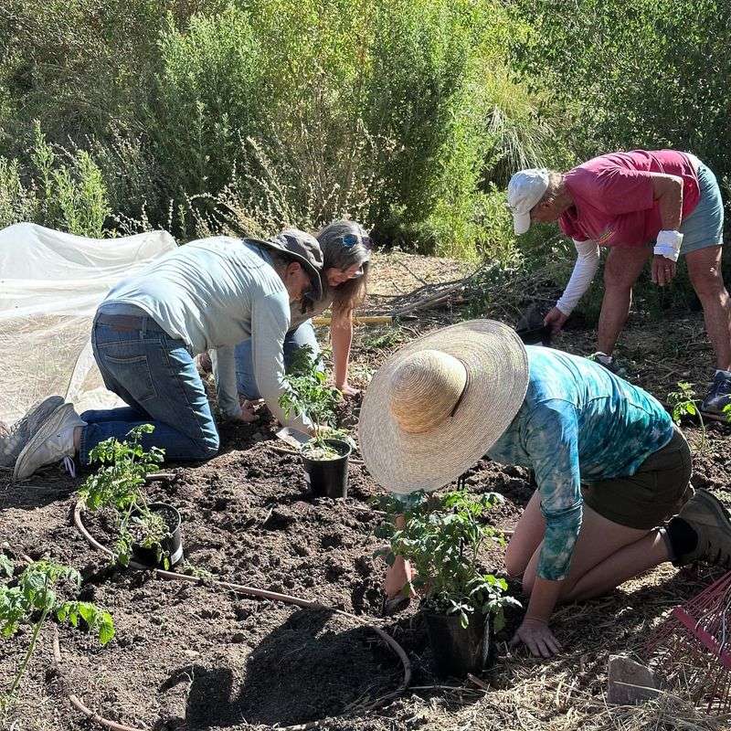 Preservation Of Cultural And Agricultural Heritage