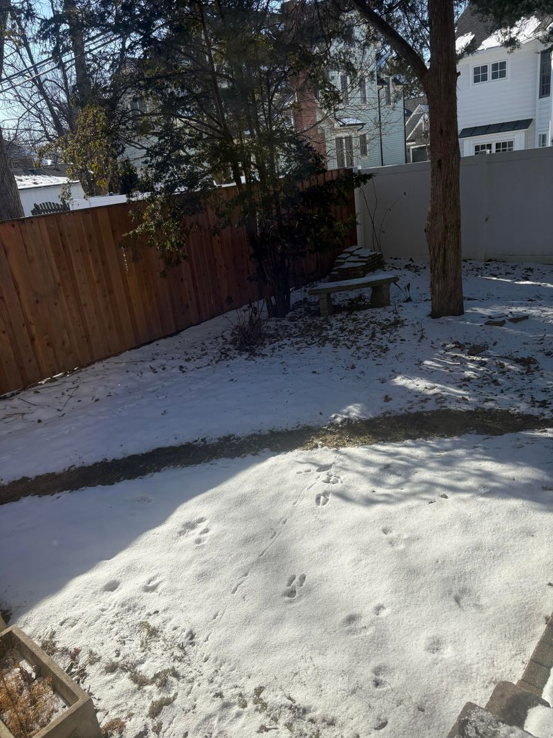 Compacted Snow From Foot Traffic Worsens Damage