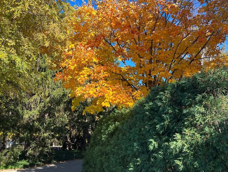 Better Mental Health and Wellbeing