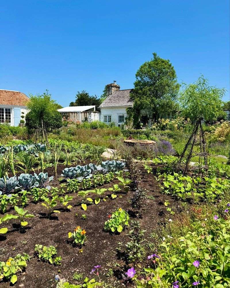 Compatibility With Off-Grid Or Rural Homesteads