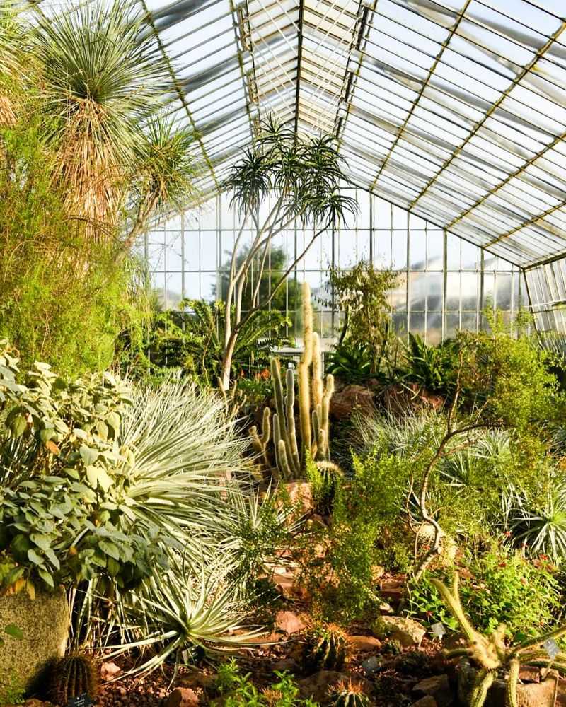 Adaptation To Hotter Temperatures