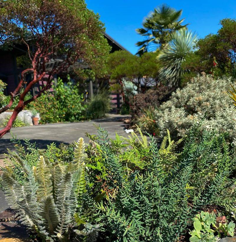 Year-Round Accessibility For All Skill Levels