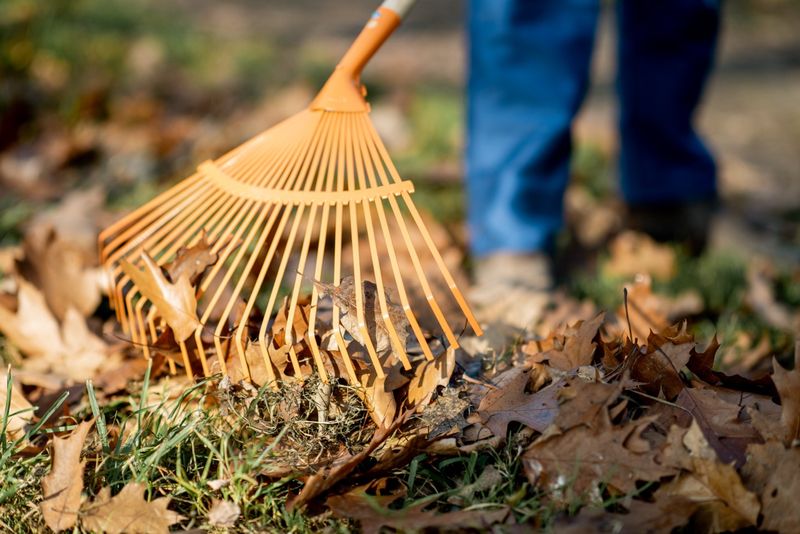 Property Owners Must Handle Leaves On Their Own Land