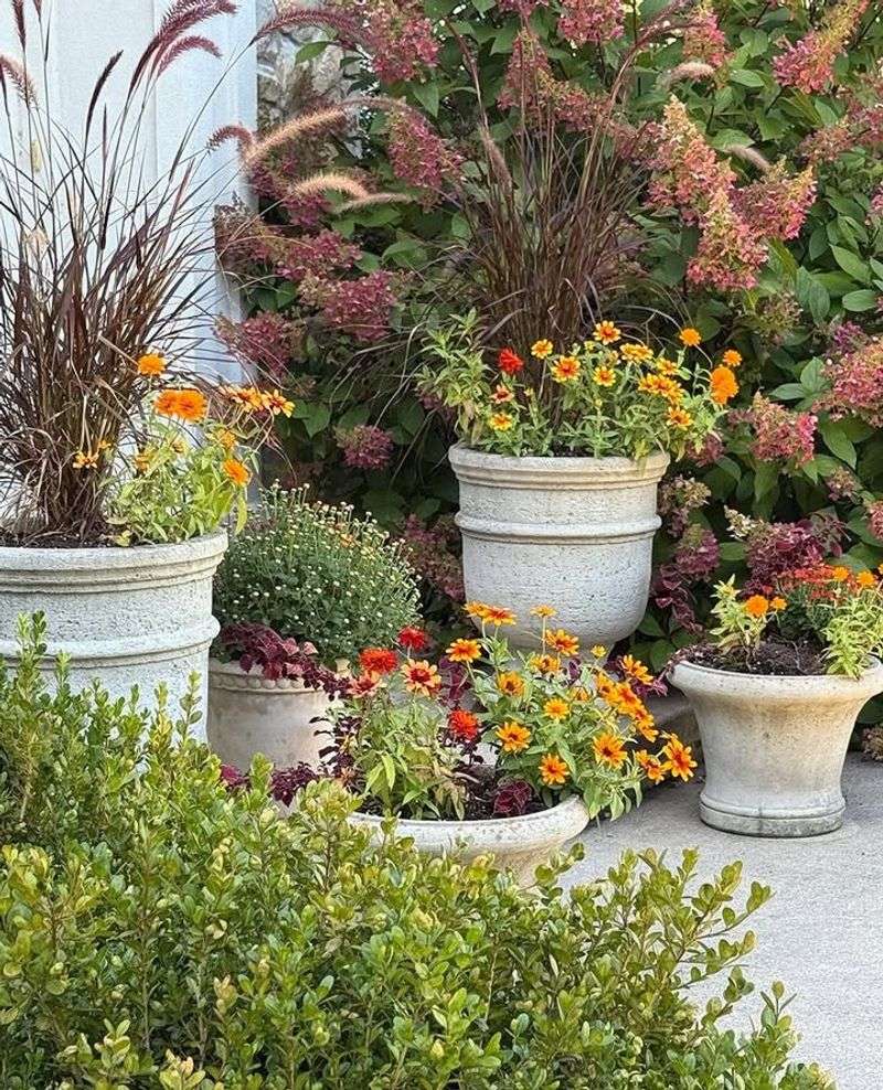 Evergreen Container Planting Offers Year-Round Beauty