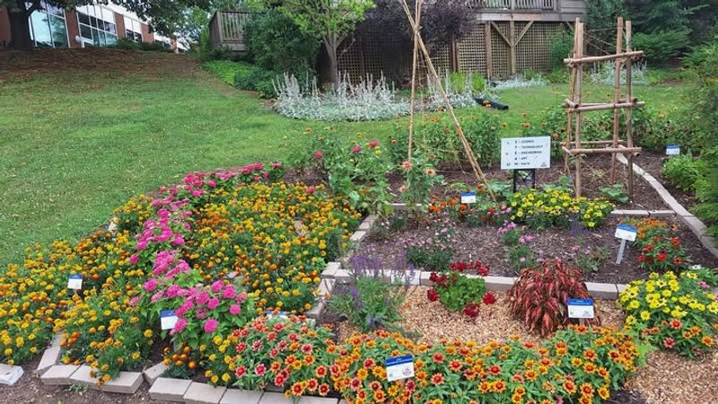 Seasonal Plant Collections Expand Constantly