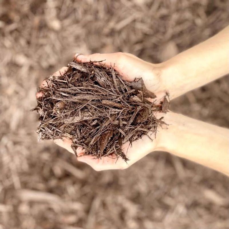 Pine And Hardwood Mulch Replicate Natural Habitat