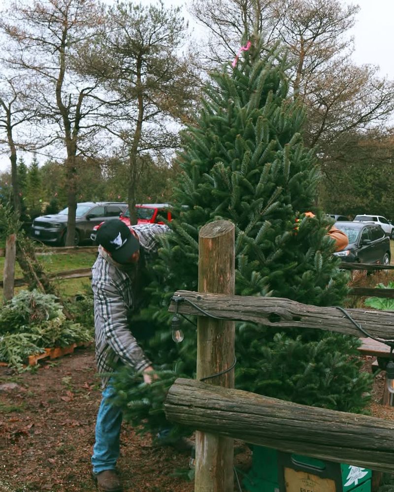 Ask About Shaking And Baling Services