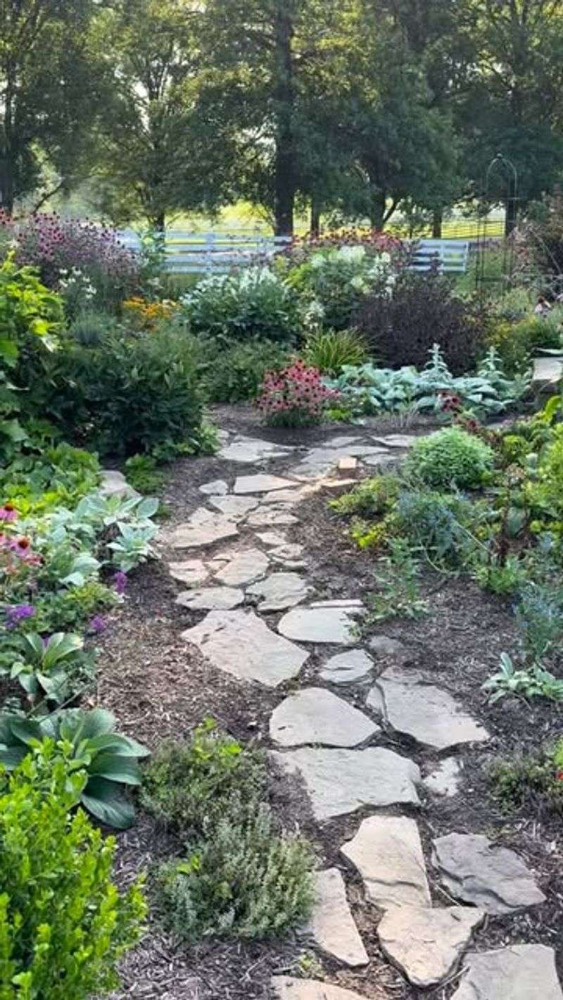 Plan Your Garden Layout